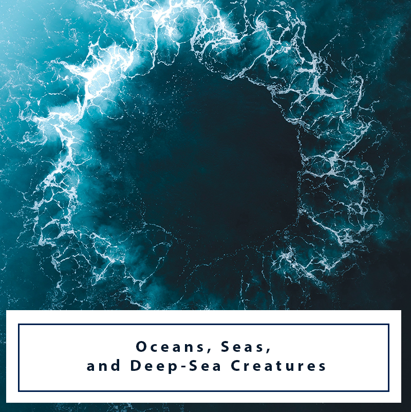 Oceans-Seas-and-Deep-Sea-Creatures Map Geek