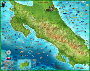 Costa Rica Wall Map by Compart Maps