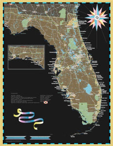 Florida Deco Wall Map