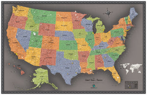 Contemporary USA Wall Map