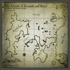 Illustrated Old World Style Komodo National Park