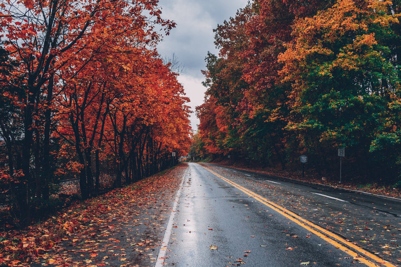 Five-National-Parks-that-Are-Perfect-for-the-Fall Map Geek