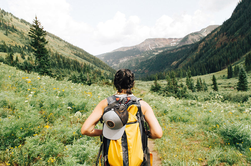 Inside-the-Debate-on-National-Park-Reservations-and-How-to-Manage-Them-This-Summer Map Geek