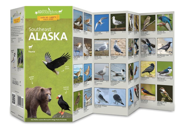 Southeast Alaska : Fauna 49southphoto