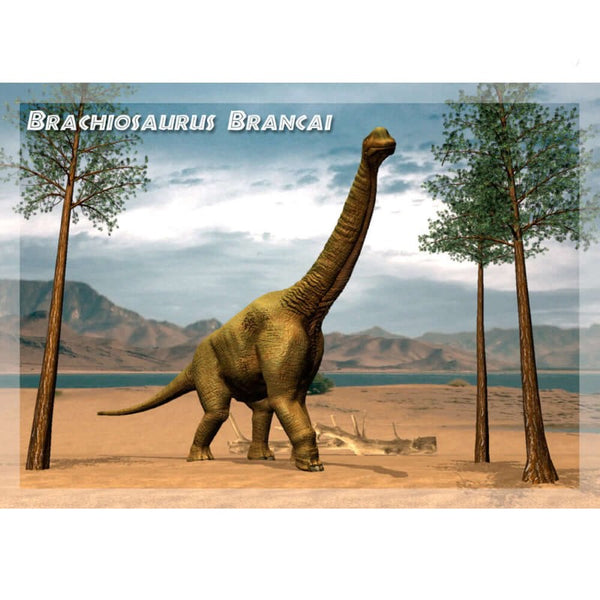 Brachiosaurus 3D Postcard Authentic Cards