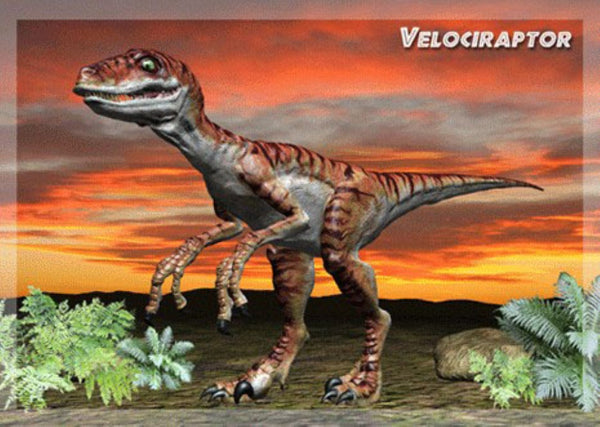 Velociraptor 3D Greeting Card Authentic Cards