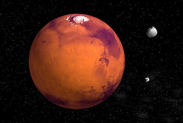 Mars Magnet Authentic Cards