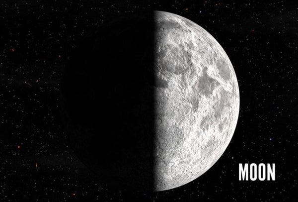 Moon Magnet Authentic Cards