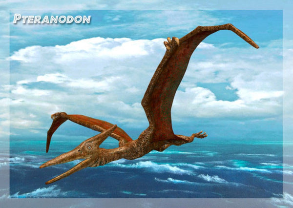 Pteranodon 3D Postcard Authentic Cards