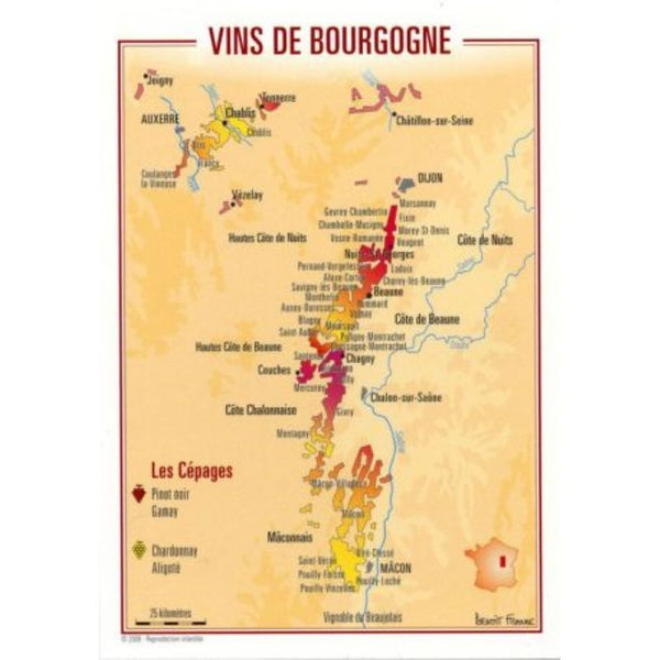 Bourgogne Wine Postcard Editions Benoit France