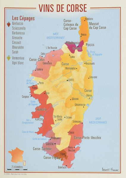 Corse (Corsica) Wine Postcard Editions Benoit France