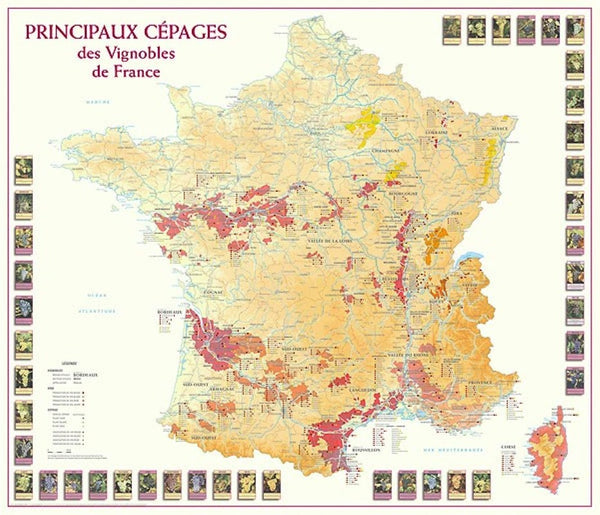 Carte des Principaux Cépages des Vignobles de France Editions Benoit France