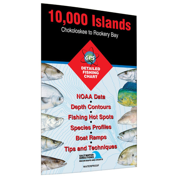 10000 Islands - Chokoloskee to Rookery Bay Fishing Hot Spots