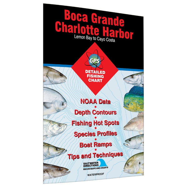 Boca Grande/Charlotte Harbor  Lemon Bay to Cayo Costa Fishing Map Fishing Hot Spots