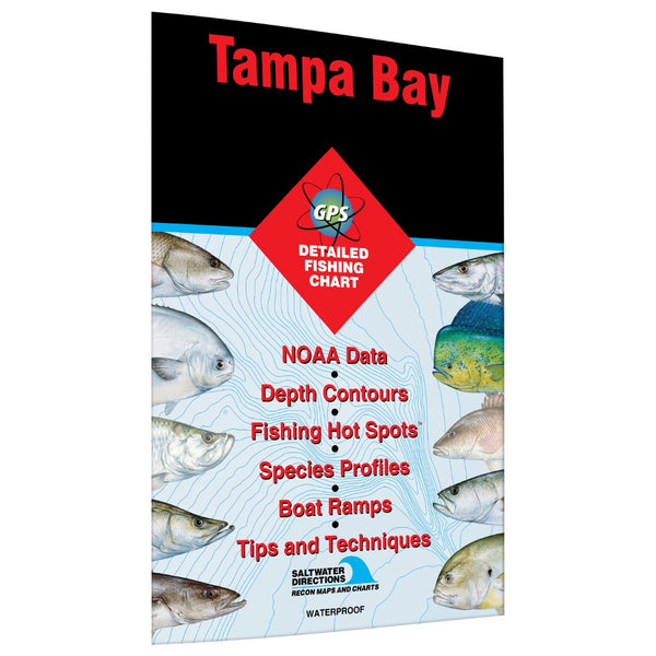 Tampa Bay Fishing Map Fishing Hot Spots