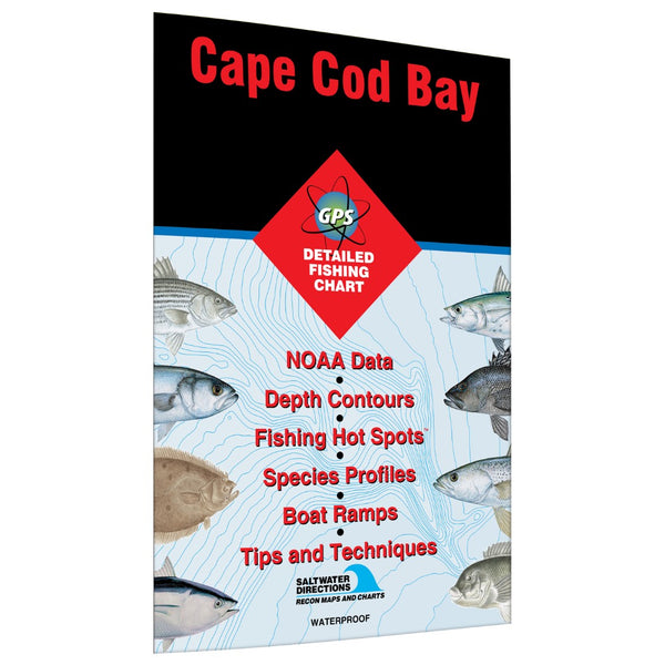 Cape Cod Bay Fishing Map Fishing Hot Spots