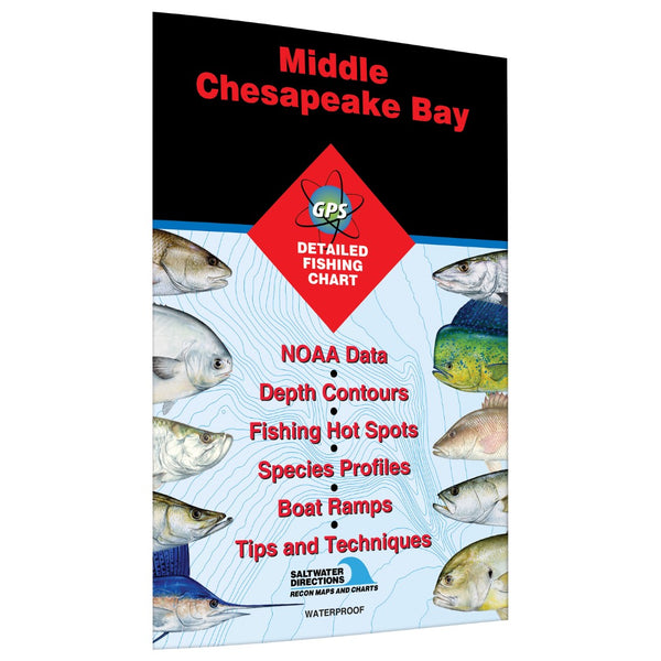 Middle Chesapeake Bay - Pocomoke Sound to Patuxent Fishing Hot Spots