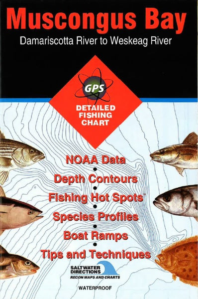 MUSCONGUS BAY FISHING MAP Fishing Hot Spots