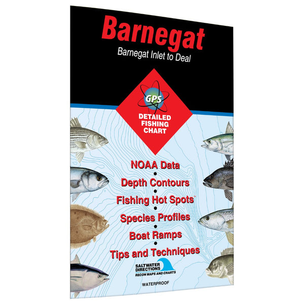 Barnegat Fishing Map  Barnegat Inlet to Deal Fishing Hot Spots