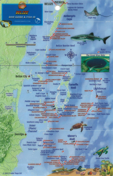 Franko's Belize : reef creatures identification guide : fits 3-ring dive log Frankos Maps Ltd.