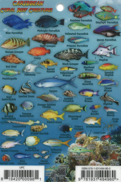 Franko's Caribbean reef creatures guide Frankos Maps Ltd.