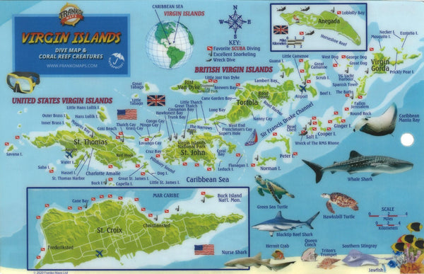 Franko's Virgin Islands : coral reef creatures identification guide : fits 3-ring binder dive log Frankos Maps Ltd.