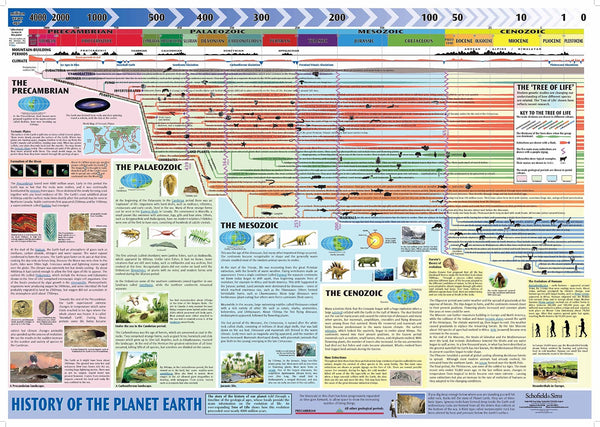 History of the Planet Earth Poster Schofield and Sims