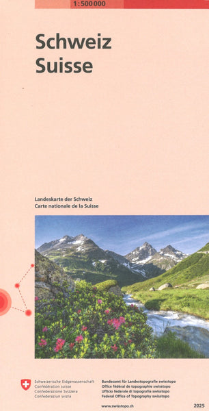 Switzerland 1:500,000 National Topographic Map Swiss Topo
