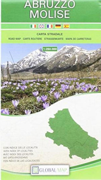 Abruzzo : Molise : carta stradale 1:250,000 Litografia Artistica Cartografica