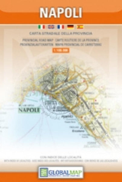 Napoli : carta stradale della provincia Litografia Artistica Cartografica