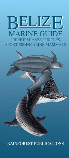 Belize Marine Guide: Reef Fish, Sea Turtles, Sport Fish, Marine Mammals Rainforest Publications