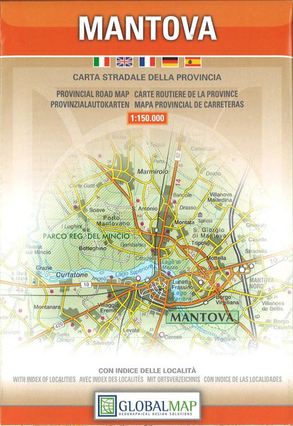 Mantova City Map Litografia Artistica Cartografica