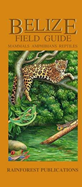 Belize Wildlife Guide: Mammals, Amphibians, Reptiles Rainforest Publications