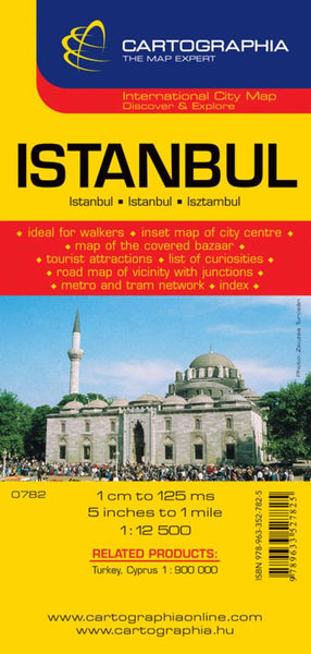 Istanbul City Map Cartographia