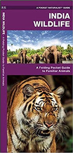 India Wildlife: A Folding Pocket Guide to Familiar Animals by Waterford Press
