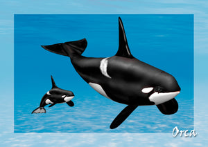 Orca 3D Postcard by Authentic Cards