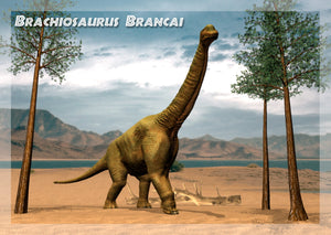 Brachiosaurus 3D Postcard by Authentic Cards