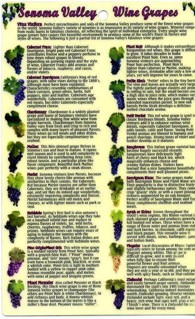 Sonoma Valley Wine Grapes Card by Frankos Maps Ltd. Eastview