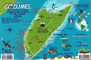 Caribbean, Cozumel Map & Fish Card  by Frankos Maps Ltd.