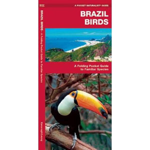 Brazil Birds: A Folding Pocket Guide to Familiar Species by Waterford Press