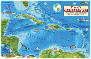 Caribbean Sea Map & Fish Card by Frankos Maps Ltd.