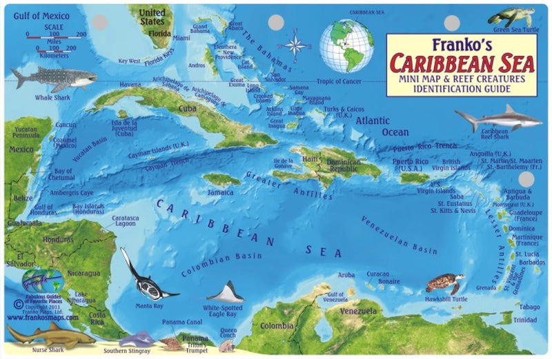 Cover of Caribbean Sea Map & Fish Card