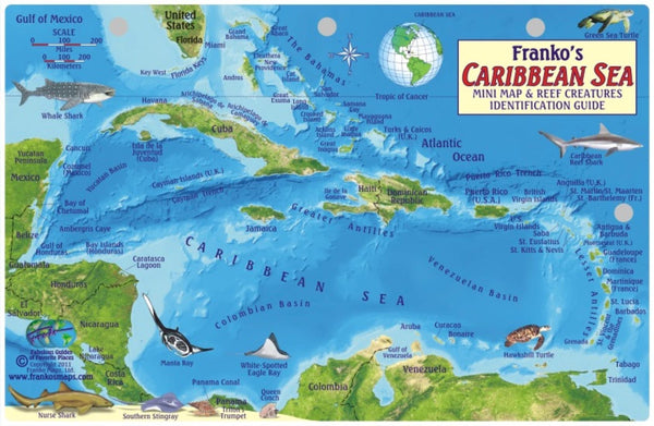 Cover of Caribbean Sea Map & Fish Card
