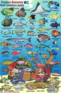 Bahamas Map & Fish Card, Bahamas Mini by Frankos Maps Ltd.