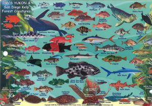 California Map & Fish Card, HMSC Yukon by Frankos Maps Ltd.