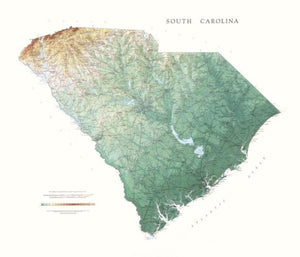 South Carolina, Physical Wall Map by Raven Maps