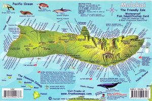 Molokai, Hawaiian Islands, Reef Creatures Map & Fish Card by Frankos Maps Ltd.