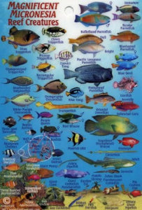 Magnificent Micronesia Reef Creatures Map & Identification Card by Frankos Maps Ltd.