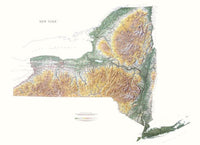 Cover of New York Physical Wall Map by Raven Maps 