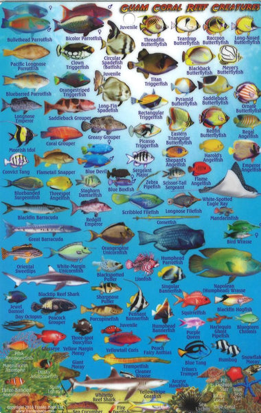 Cover of Guam, Reef Creatures of Guam Map & Identification Card